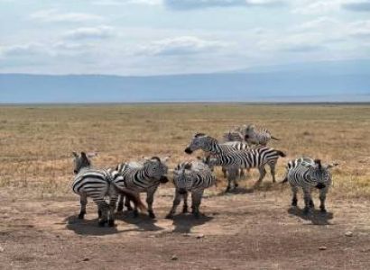 4-Day Bush Wildlife Adventure Safari