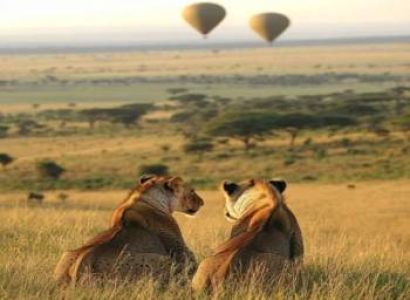 3 Days 2 Nights Masai Mara National Reserve