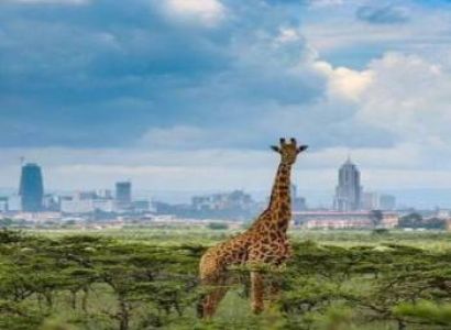 Nairobi Day Tour