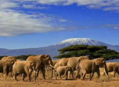 3 Days Amboseli Safari Tour