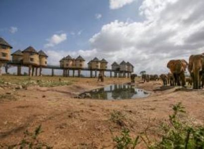 2 Days Taita Hills Saltlick African Wildlife Safari Tour From Mombasa