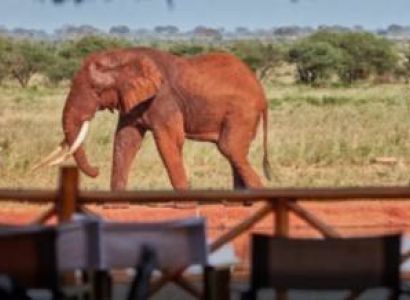 2 Days Mombasa Safari To Ngutuni Game Sanctuary - Wildlife Safaris In Africa