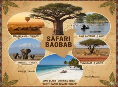 Safari Baobab