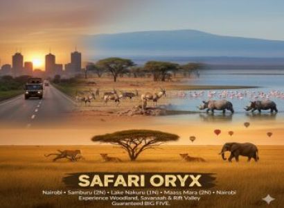 Safari Oryx Image