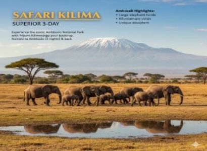 Safari Kilima