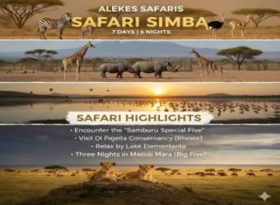 Safari Simba Tour