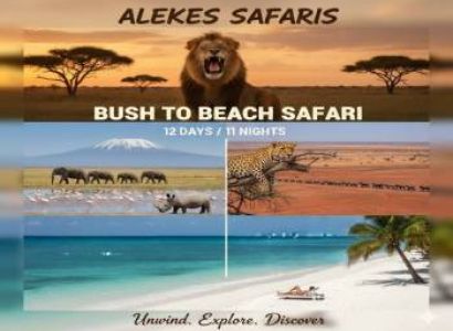 Bush to Beach Safari {B2B Safari}