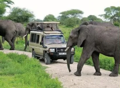 7 Days Manyara - Tarangire - Serengeti - Ngorongoro Tour