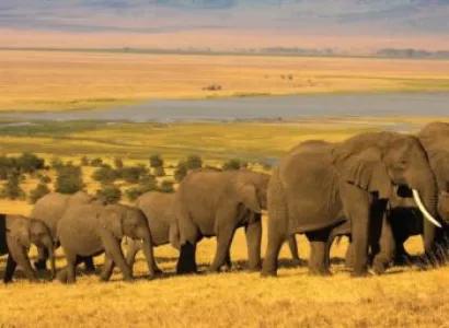 13 Day Tanzania - Kenya Safari Tour