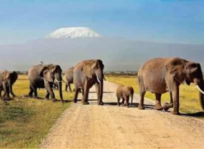 12 Night - 13 Days Missionary Safari Trip