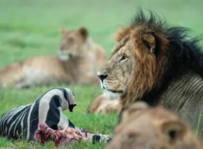 10 Days Kenya Education Safari Tour