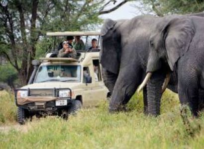 3 Days Tanzania Lodge Safari