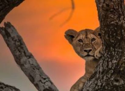 4 Day Camping Safari