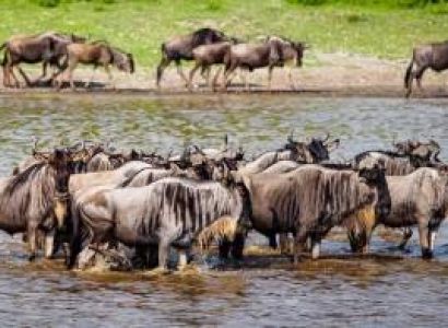 7-Day Midrange Family Safari And Beach Holiday Tour