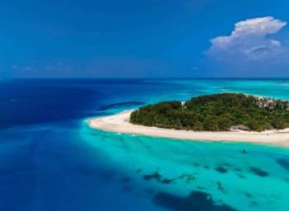 Snorkeling With Dolphin At Mnemba Island, Zanzibar
