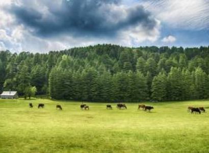 All Himachal Tour Package