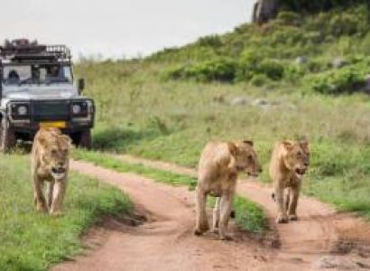5 DAYS / 4 NIGHTS MAASAI MARA SAFARI