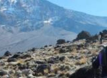 10 Days Kilimanjaro - Lemosho Route Tour