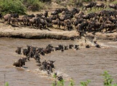 9 Days Photography Safari Tour