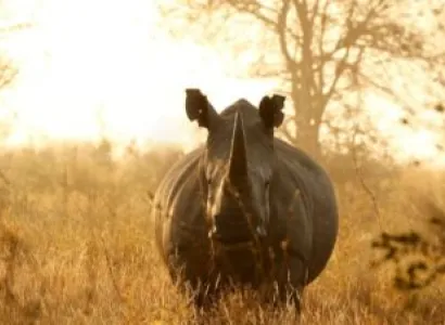 9 Days Big 5 And Great Migrations Safari Tour