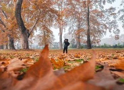 Kashmir 9D - 8N Tour