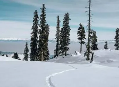 Kashmir 3D - 2N Tour