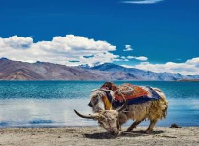 Experience the Beauty of Ladakh 6 Night 7 Days