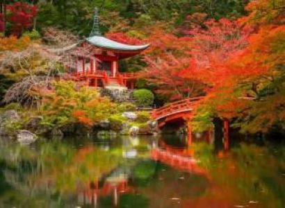 Best Of Japan 5 Nights - 6 Days Tour