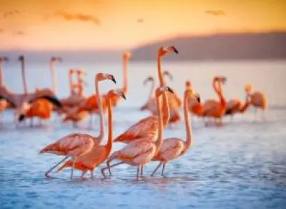 Traditional Kenya Safari 5 Nights - 6 Days Tour