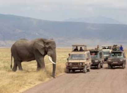 3 Days Budget Safari Manyara - Ngorongoro And Tarangire Tour