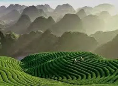 1N/2D Theni to Guruvayur 10+1 Luxury Caravan