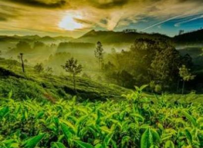 Theni – Valparai – Athirappilly  with 45 Seater Luxury AC Bus 2N/3D