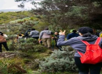 Mountain Climbing Mt. Kenya 6 Days