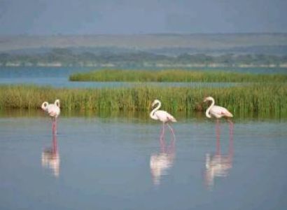 4 Days Safari Lake Nakuru