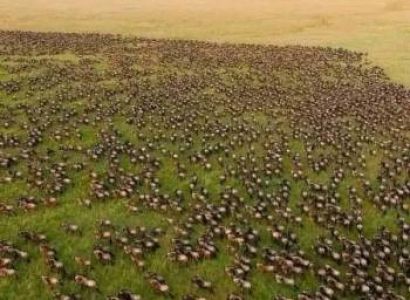 Masai Mara 4 Days Package