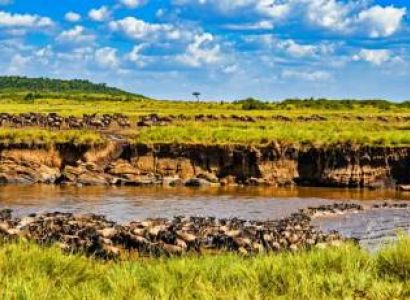 The Signature Kenya Safari & Great Migration Expedition Aug & Sep 2026