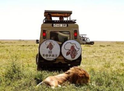 5 Days Tanzania Safari Taste of Northern Circuit Experience