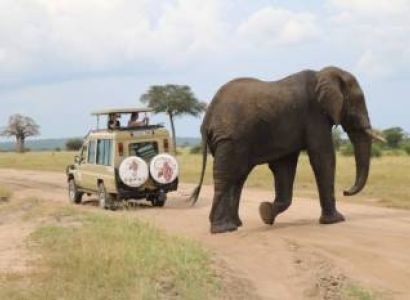 6 Days Tanzania Safari Everlasting Experience