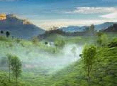 Theni to Kodaikanal Circuit Vehicle: 12+1 AC Tempo Traveller (Spacious Group Van)