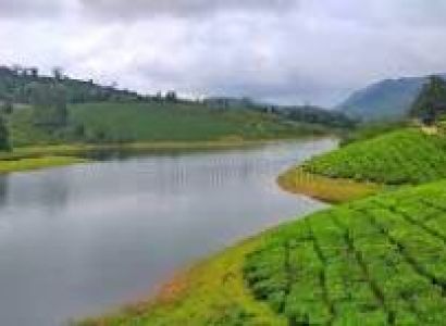 Luxury Coach Group Tour: Theni to Kodaikanal Circuit 45-seater