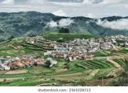 Theni to Kodaikanal Hill Station Tour (10+1 Luxury Caravan/Tempo Traveller)