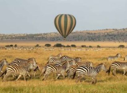 10 Days Ultra-Luxury Tanzania Safari Tour