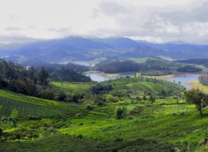 3 Night Ooty Tea Trails Tour