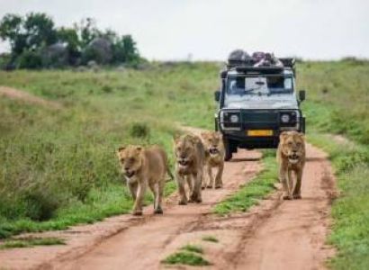South Africa Safari - Adventure - 7N - 8D