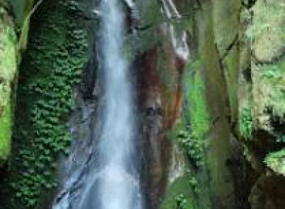 Gombe Stream Jane Goodall Legacy Chimp Safari Tour
