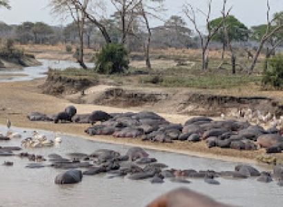 Katavi Expedition - Untamed Western Frontier Safari Tour