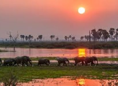 Selous Pristine Southern Wilderness Safari Tour