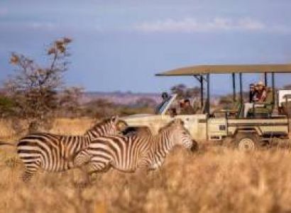 Selous Pristine Southern Wilderness Safari Tour