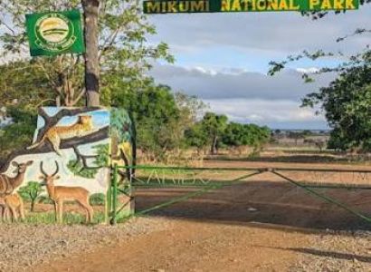 Mikumi National Park Wildlife Weekend Escape Tour