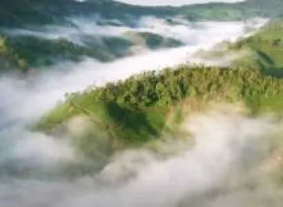 3 Night/4 Days - Exotic Kerala